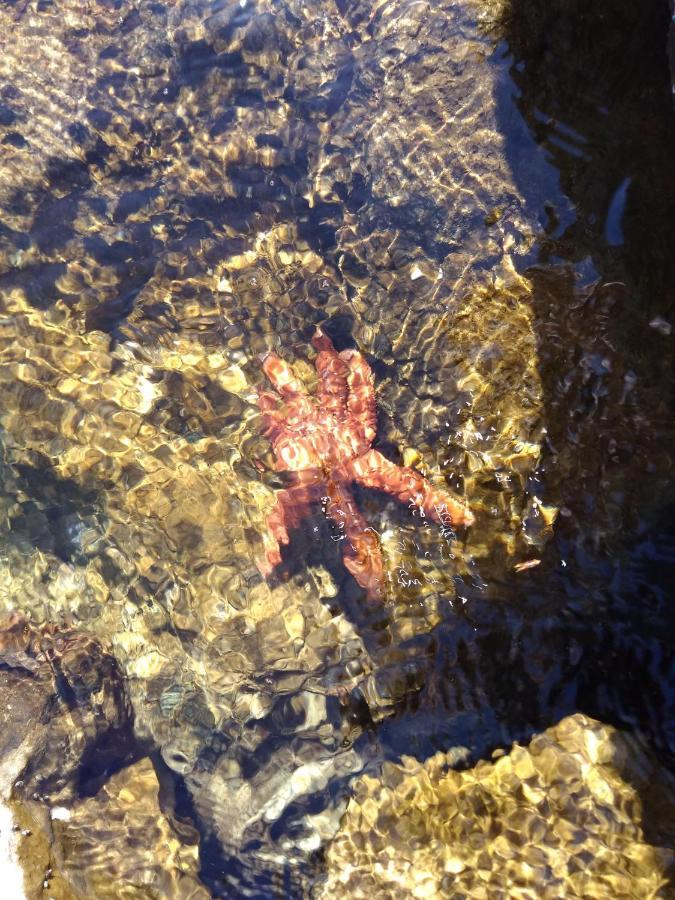 Family Biograd Na Moru